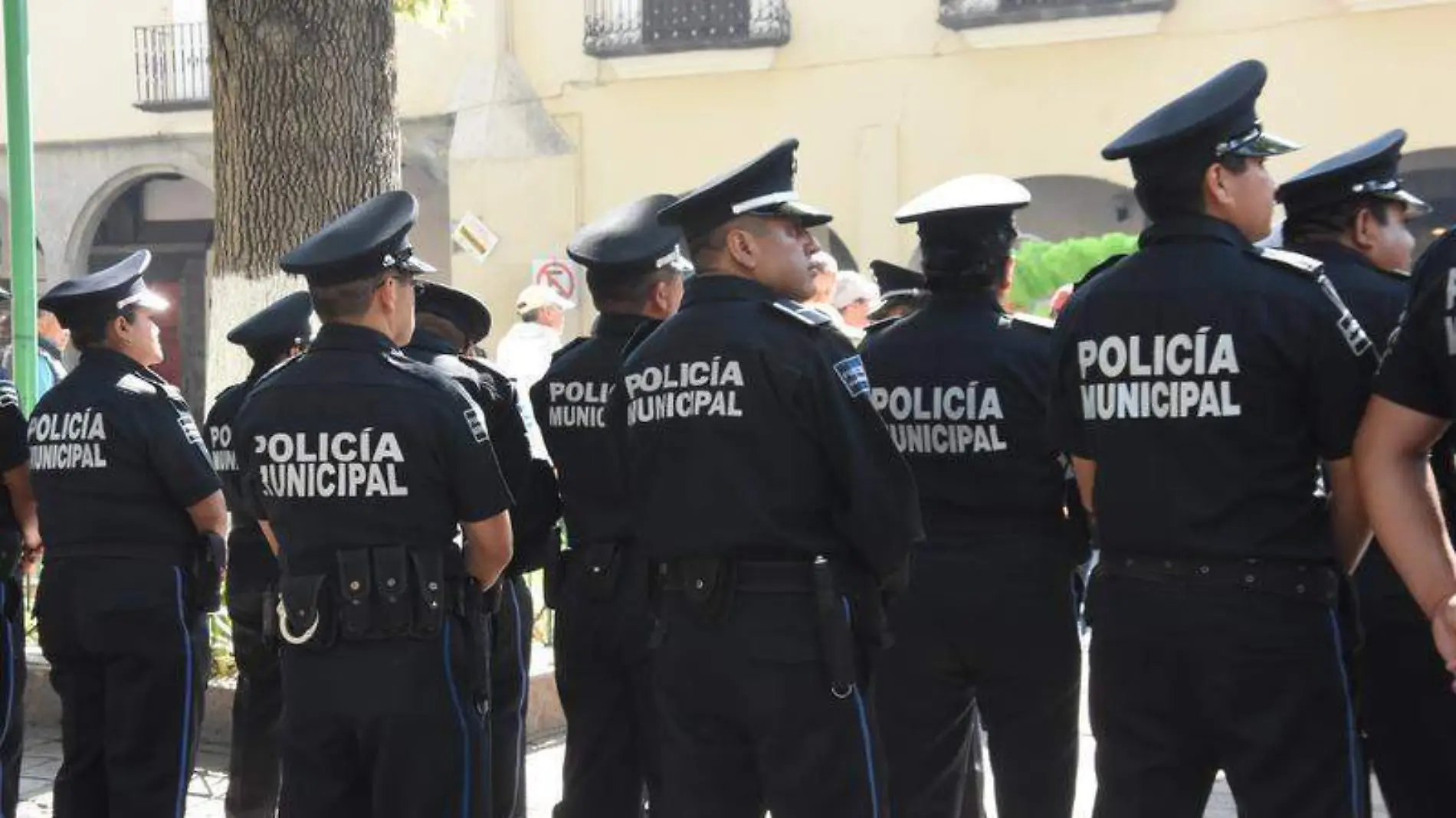 directores policiacos (2)